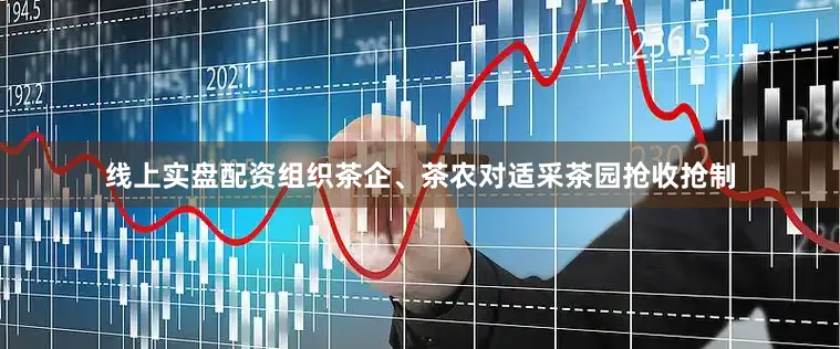 线上实盘配资组织茶企、茶农对适采茶园抢收抢制