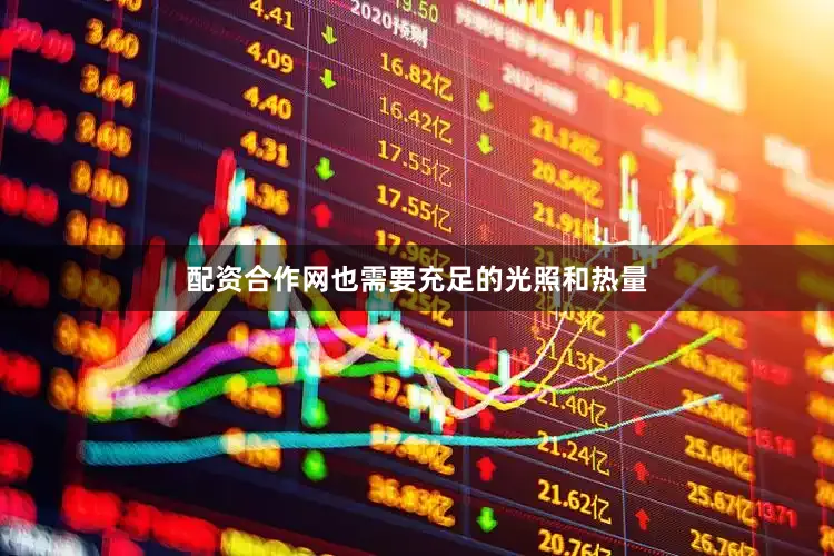 配资合作网也需要充足的光照和热量