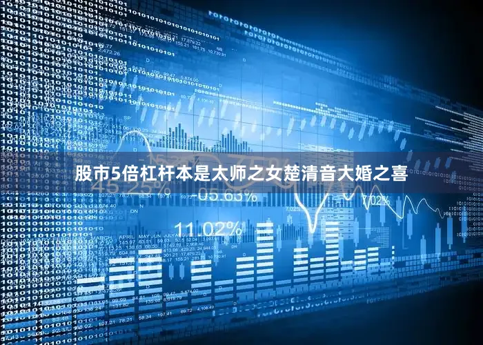 股市5倍杠杆本是太师之女楚清音大婚之喜