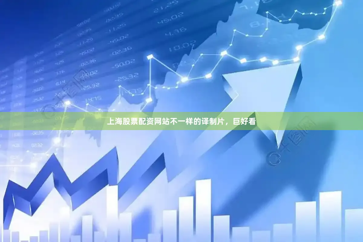 上海股票配资网站不一样的译制片，巨好看