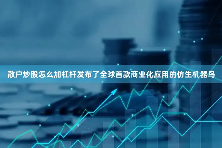 散户炒股怎么加杠杆发布了全球首款商业化应用的仿生机器鸟